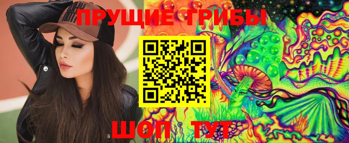 Карабулак  Псилоцибиновые грибы мицелий  Вход с VPN 